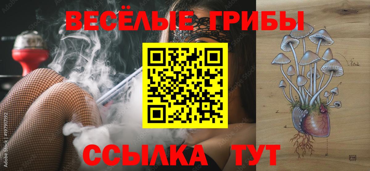 Иркутск  Псилоцибиновые грибы мухоморы  Вход с VPN 