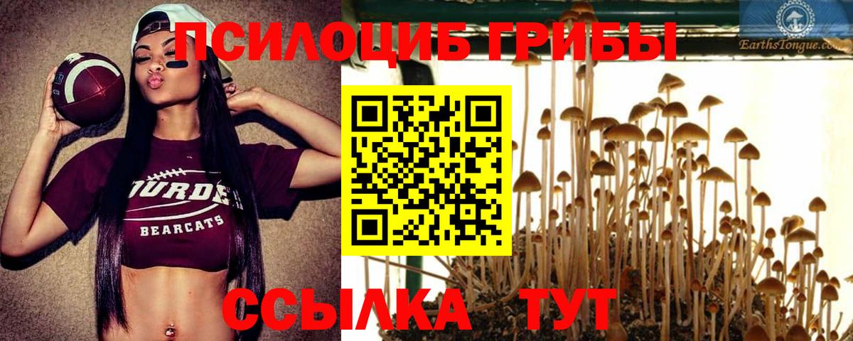 Псилоцибиновые грибы мухоморы Иркутск